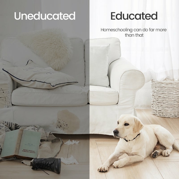 Well-D ADV MODEL TC01 DOG TRAINING SYSTEM - Picture 13 of 15